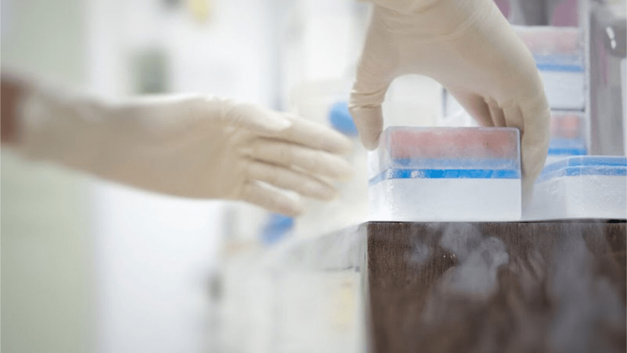 biopharma cold storage